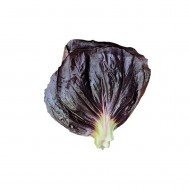 레드잎_100g