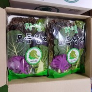 모듬쌈 _10봉입