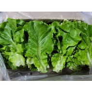 생채 _2kg