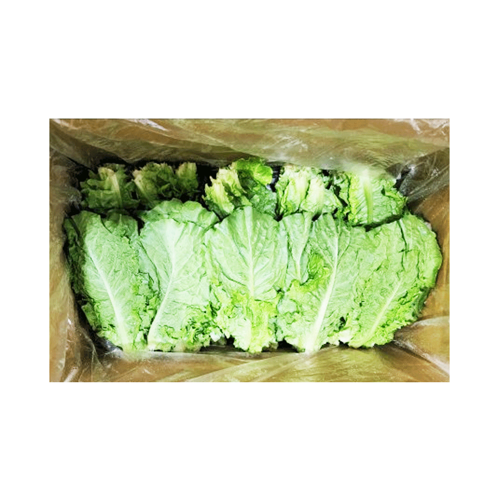 청상추_운봉_2kg