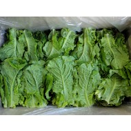 상추청상추_지방_4kg