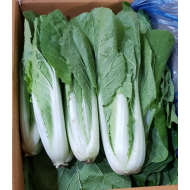 얼갈이_지방_4kg