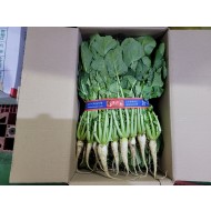 단류_행사