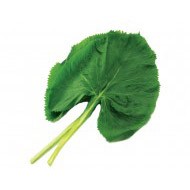 곰취