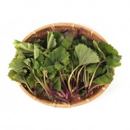 머위순 _4kg