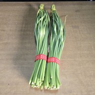 마늘쫑_500g_단