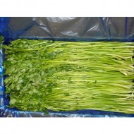돌미나리500g