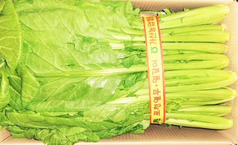 돌산갓(1.5kg)단)