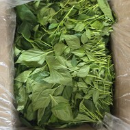 고추잎_2kg