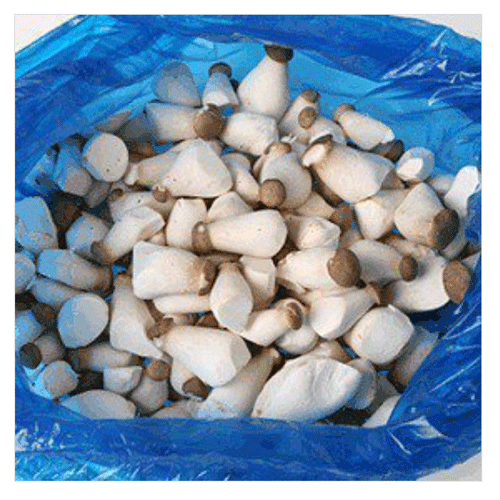 새송이소_2kg