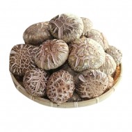 표고버섯_500g