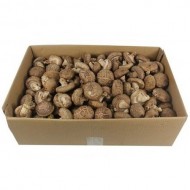 수입표고2L_부산 4kg