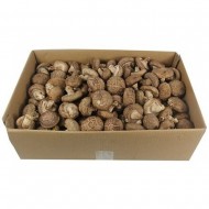 표고버섯_2XL4kg[수입산]