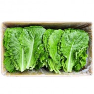 로메인지방 _2kg
