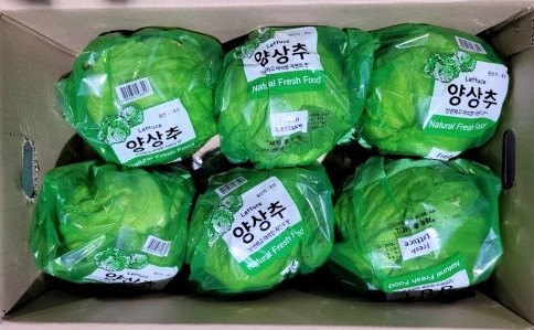 포장양상추(6입) (4kg)