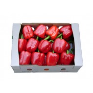 파프리카(빨강)(M)BOX (5kg)