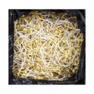 콩나물[수입]BOX (곱슬이3.5kg)