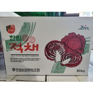 적채_상12입 _12개입