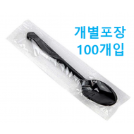 위생숟가락__100입[태양]