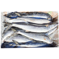 삼치_냉동14미 _국내산 _10kg