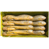조기_부세700g 5미 _3.4kg