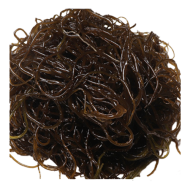 꼬시래기_4kg