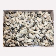 냉동굴_10kg_벌크[국산]