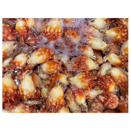 냉동멍게_500g[국산]