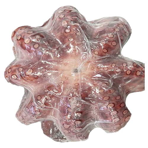 문어_자숙1kg±50g
