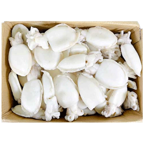 갑오징어홀_100-200g_5kg[베트남]