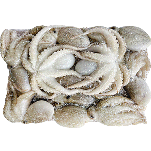 활쭈꾸미_80-100g_1kg[중국]
