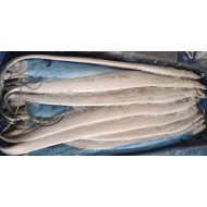 냉동갈치_300/500_10kg[모로코]