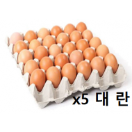 계란_대란_5판묶음판매
