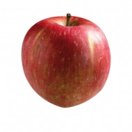 사과/40과(10kg특)