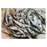 다시멸치(국내산)