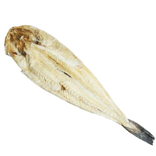 북어(말린)