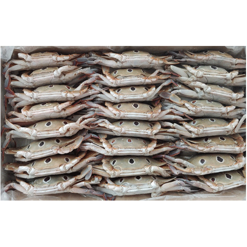 삼점게80/100(파키스탄)