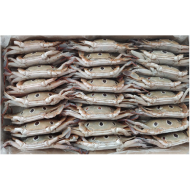 삼점게80/100(파키스탄)