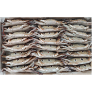  삼점게200up(파키스탄)