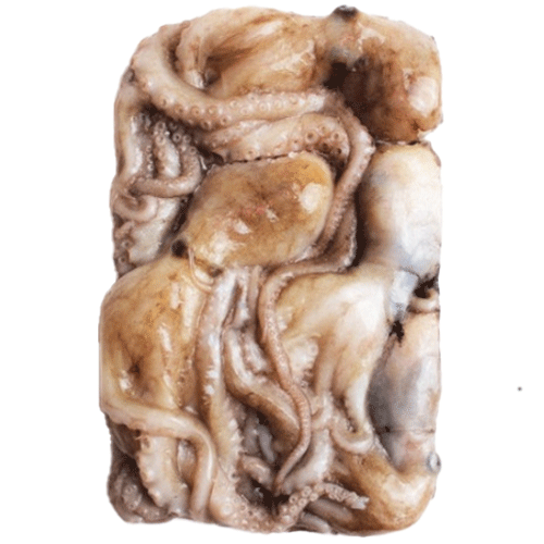 낙지100/150(8미/중국)