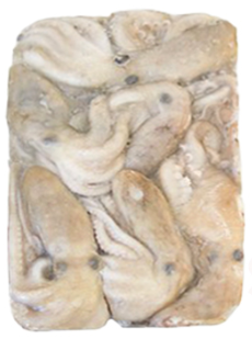 낙지150/200(6미/중국)