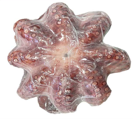 자숙문어(예맨)