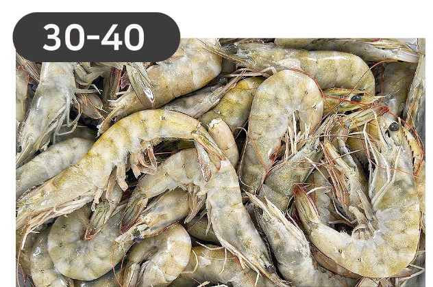 라운드새우30/40(사우디)