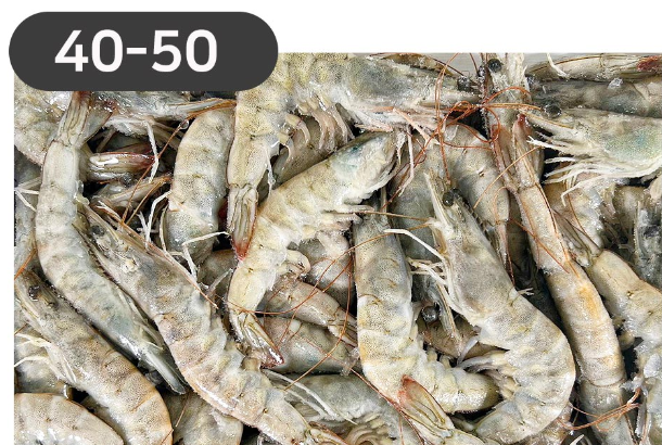 라운드새우40/50(사우디)