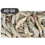 라운드새우40/50(사우디)