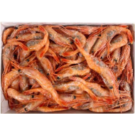 생아마애비(캐나다)