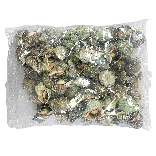 피참소라3S(터키)