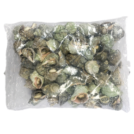 피참소라3S(터키)