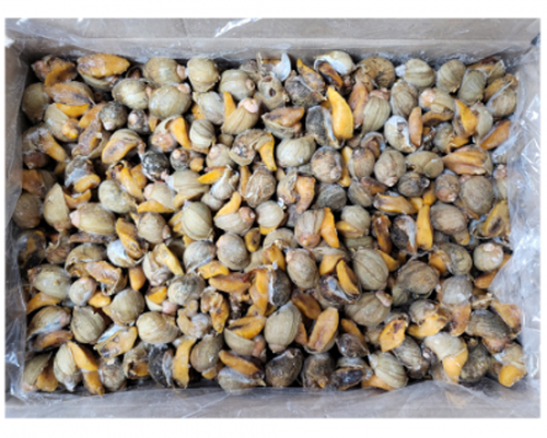 자숙피골뱅이(캐나다)