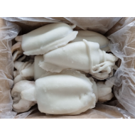 갑오징어홀300/500